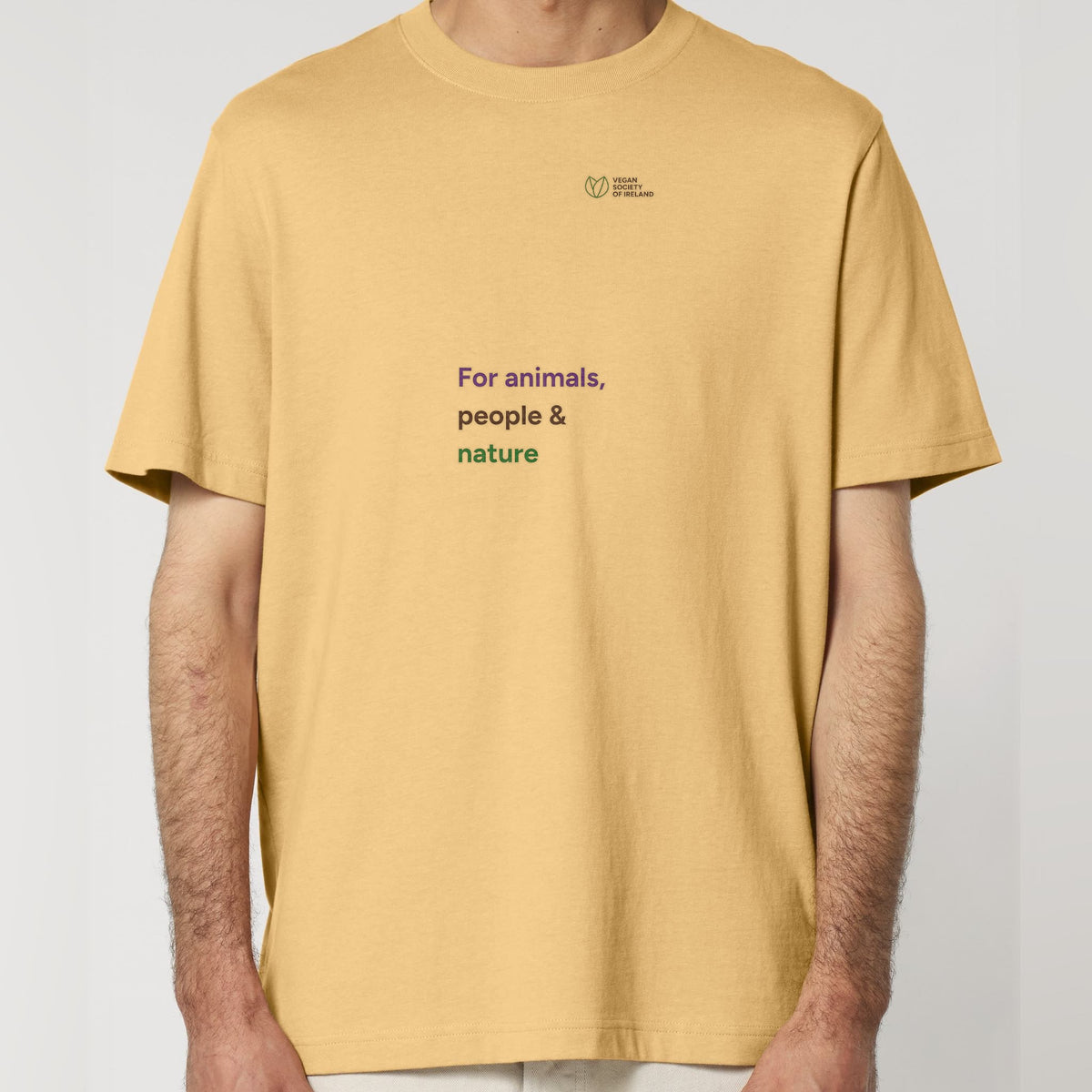 pf:studio:mockup