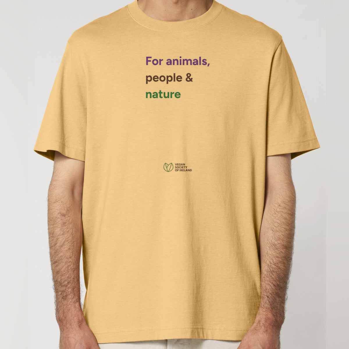 pf:studio:mockup