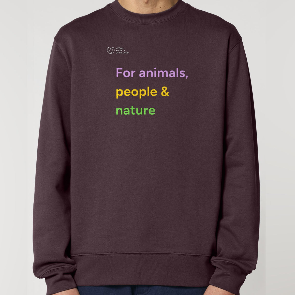pf:studio:mockup