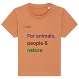 pf:packshot:mockup