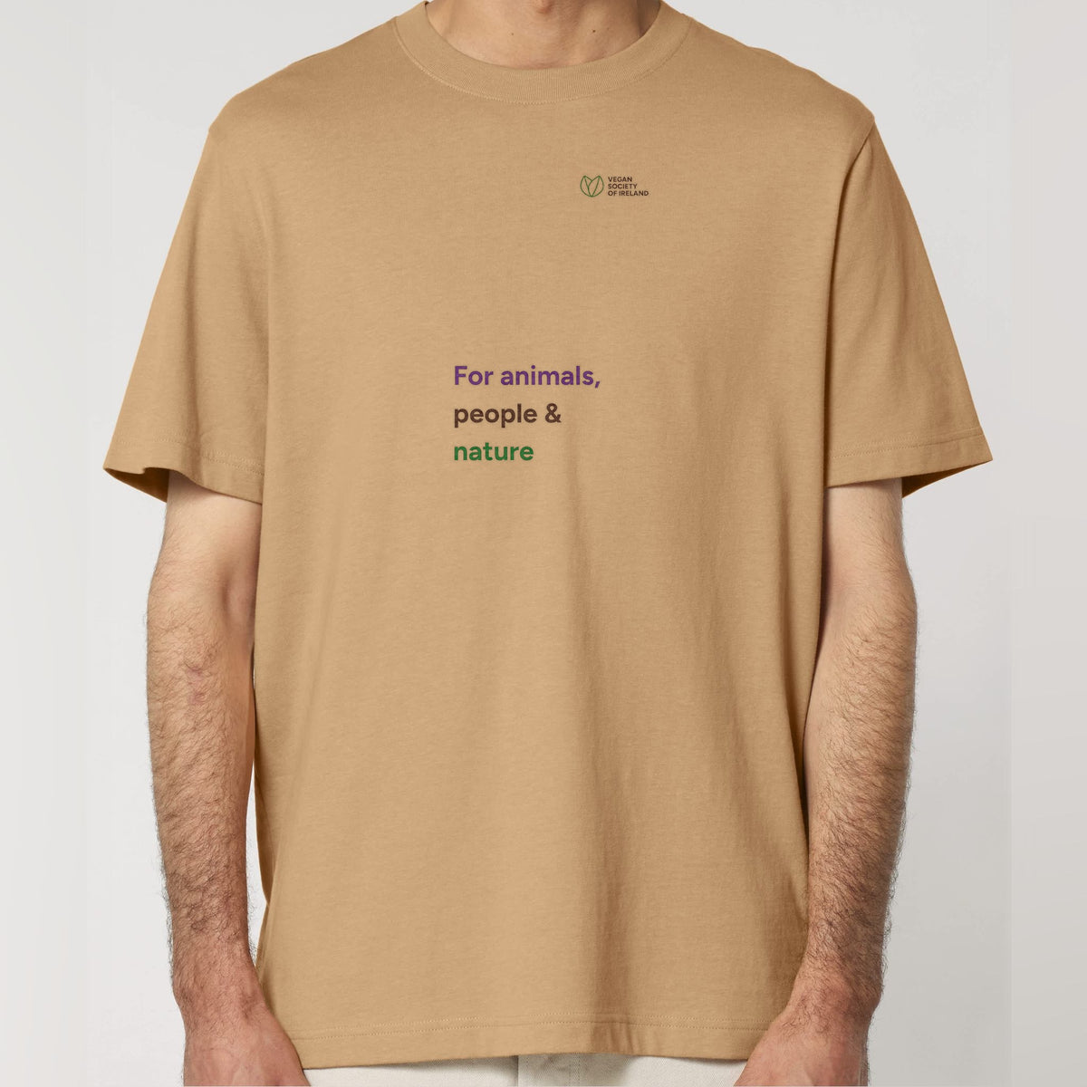 pf:studio:mockup