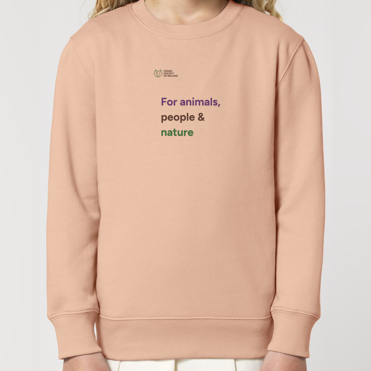 pf:studio:mockup