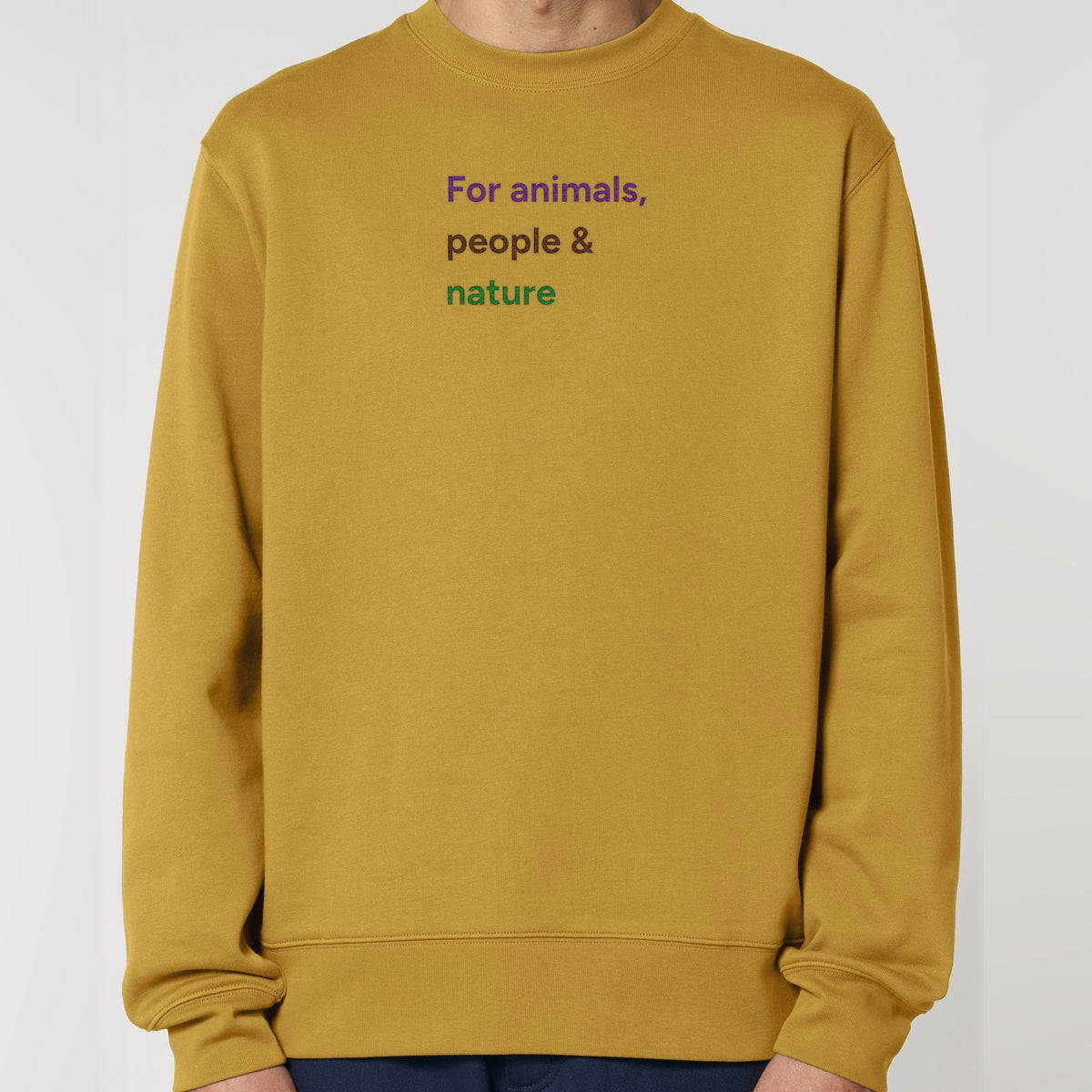 pf:studio:mockup