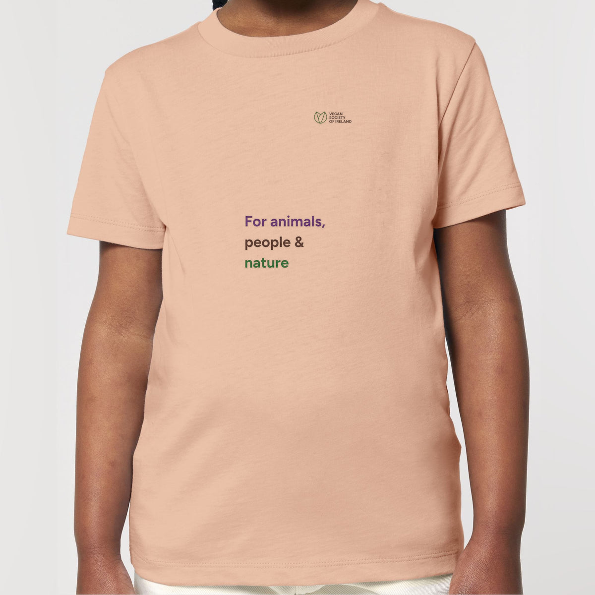 pf:studio:mockup