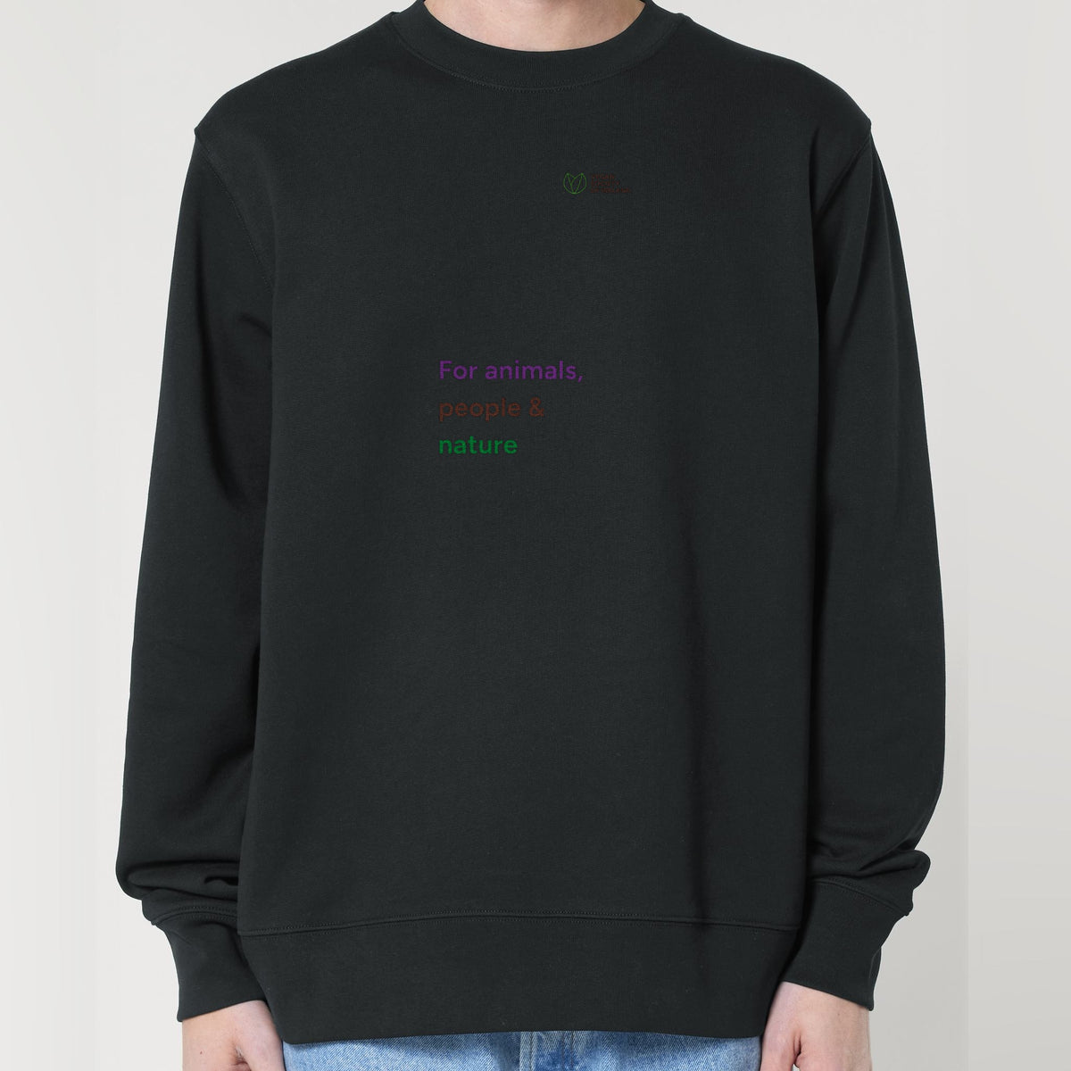 pf:studio:mockup