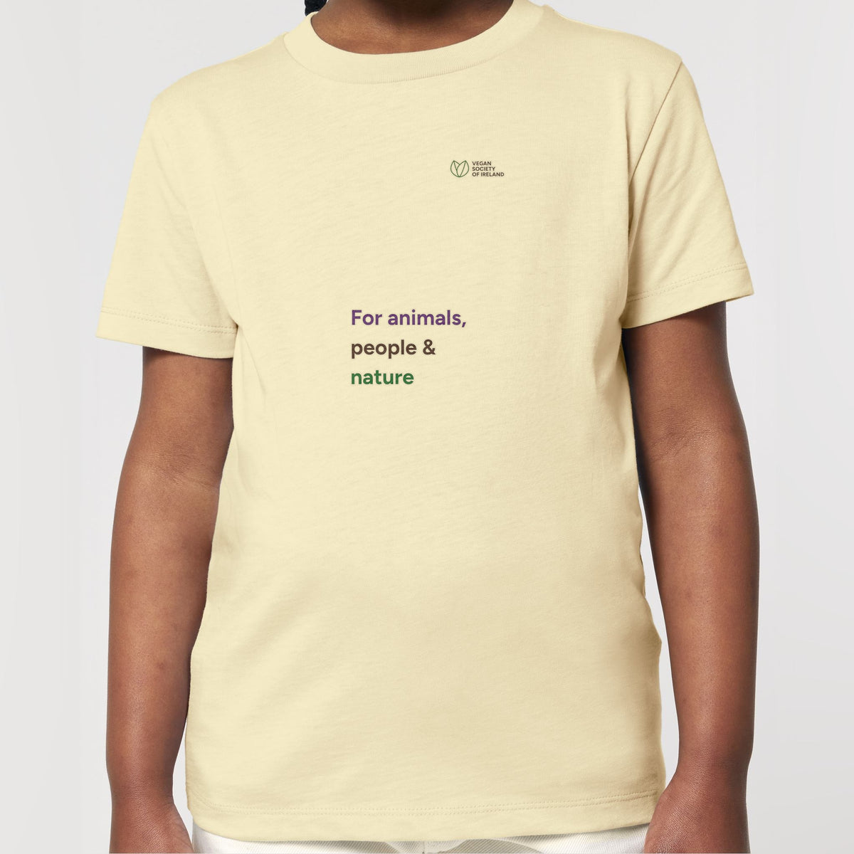 pf:studio:mockup